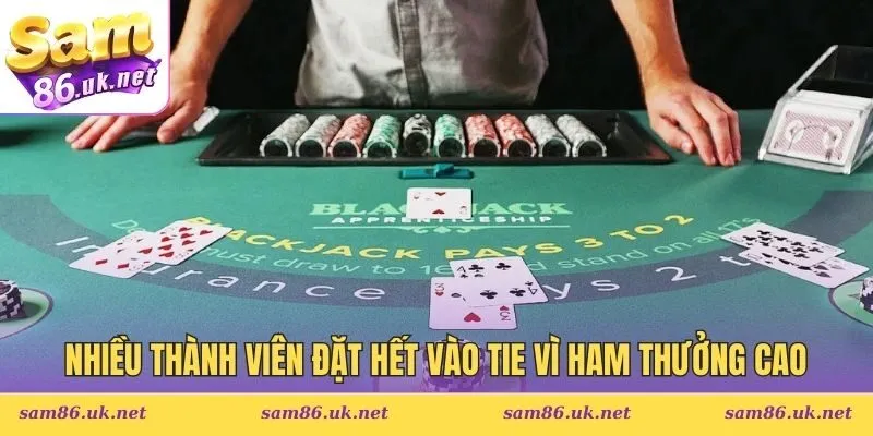 Nhiều thành viên đặt hết vào Tie vì ham thưởng cao